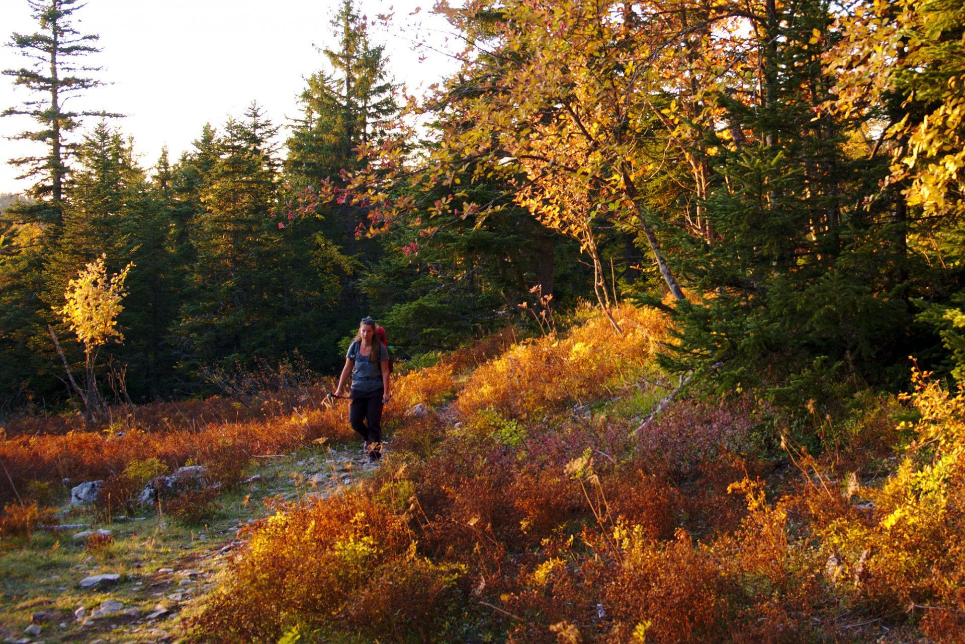 Vercors im Herbst