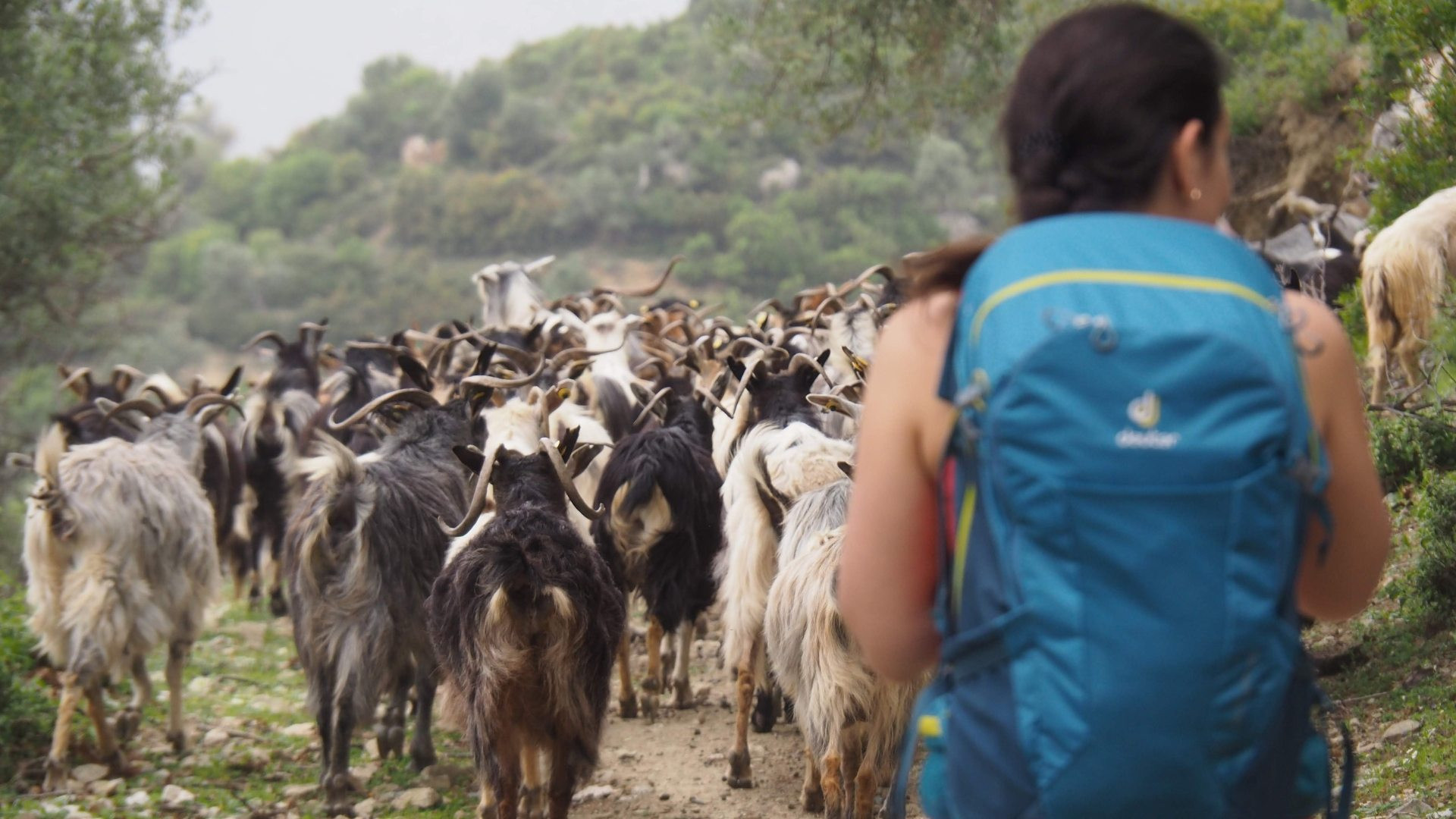 Wandern an der Albanischen Riviera 3