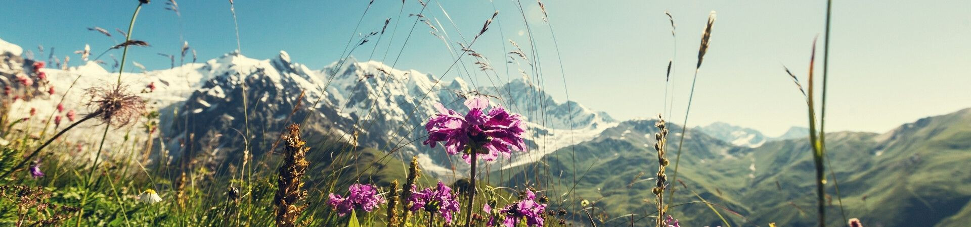 Wohin im Frühling in Europa reisen?