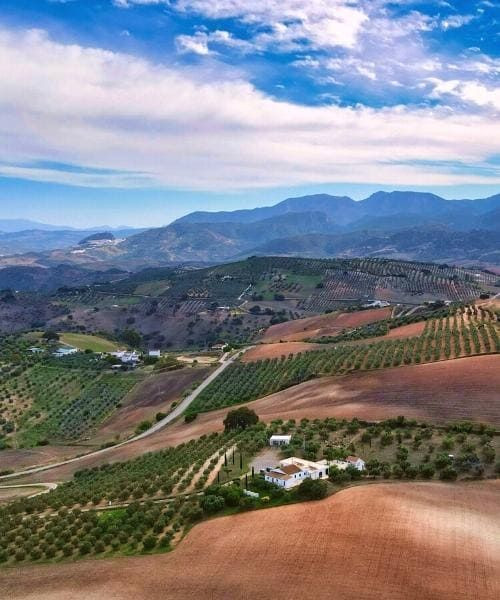 © David Praire Andalusische Hügel zwischen Olvera und Puerto Serrano - Andalusien - Spanien
