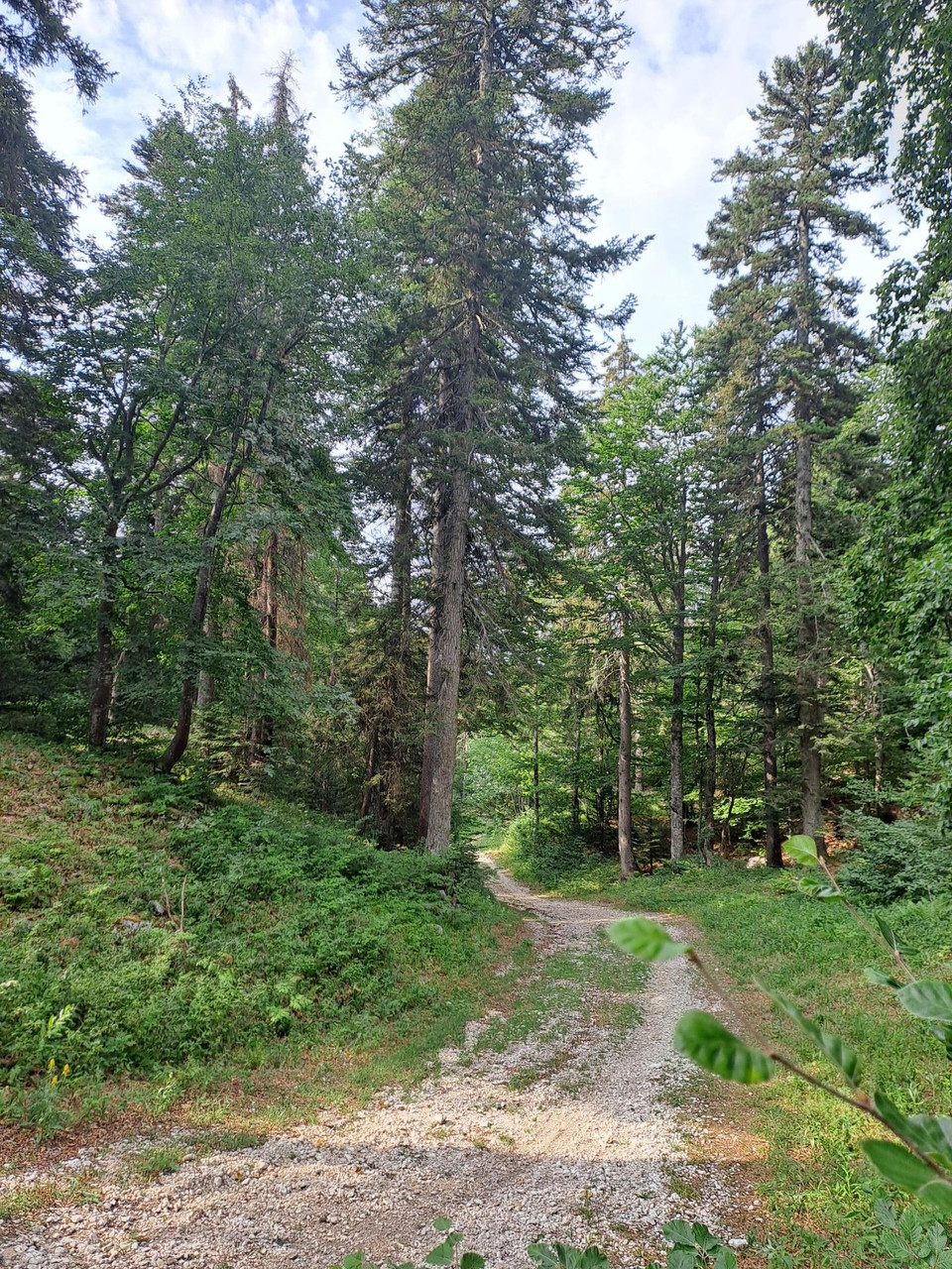 Regionaler Naturpark Vercors - vom Naturerbe zum kulinarischen Erbe