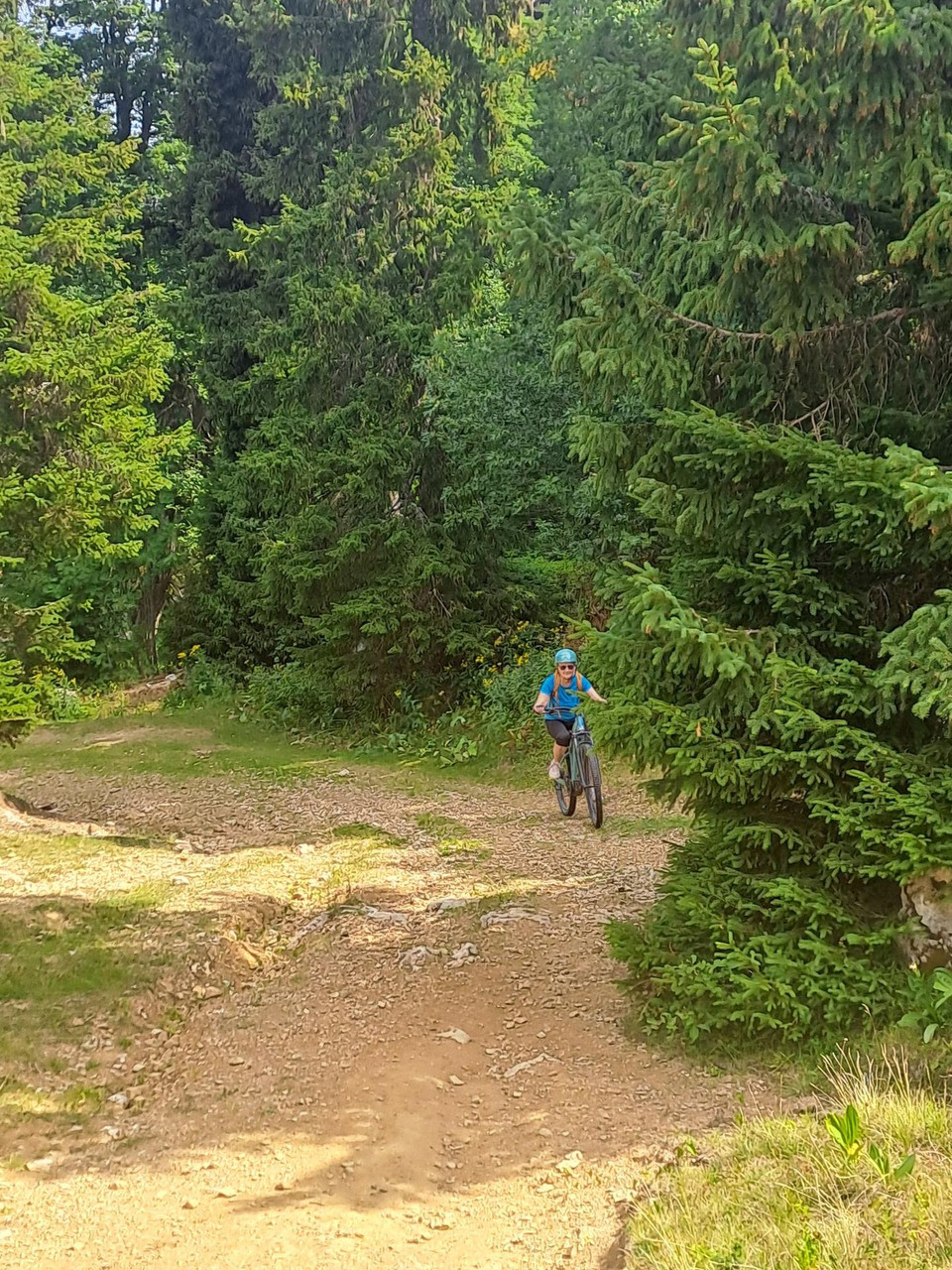 Regionaler Naturpark Vercors - vom Naturerbe zum kulinarischen Erbe