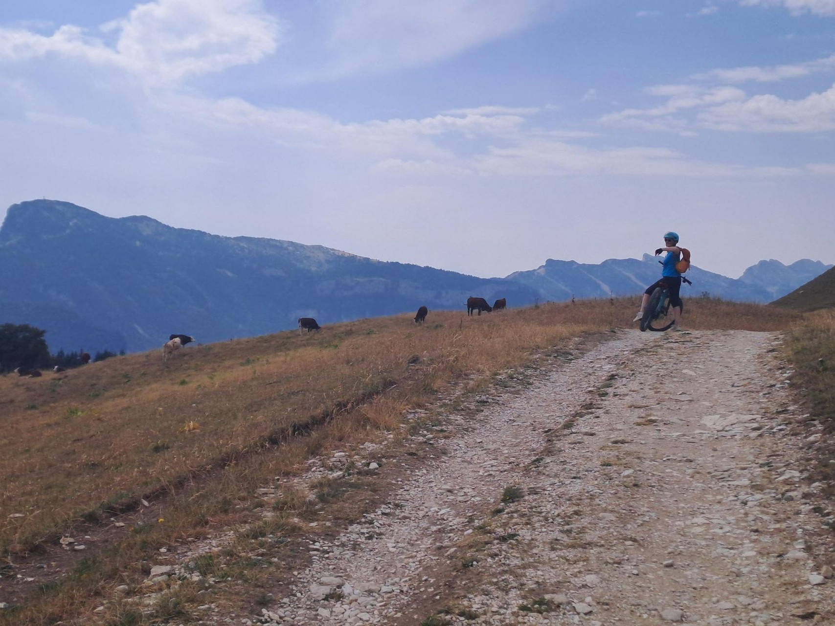 Regionaler Naturpark Vercors - vom Naturerbe zum kulinarischen Erbe