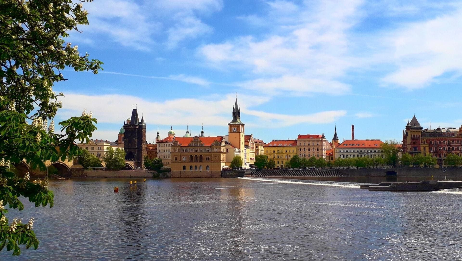Ufer der Moldau - Prag - Tschechien