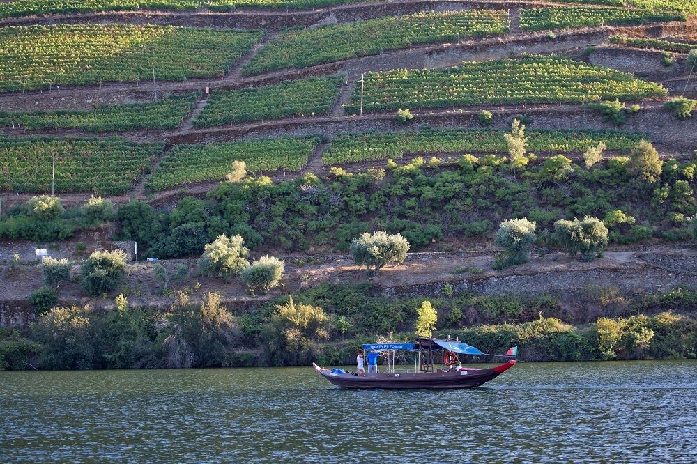 © Authentic Trails Rabelo-Boot auf dem Douro und Terrassenweinberge - Portugal
