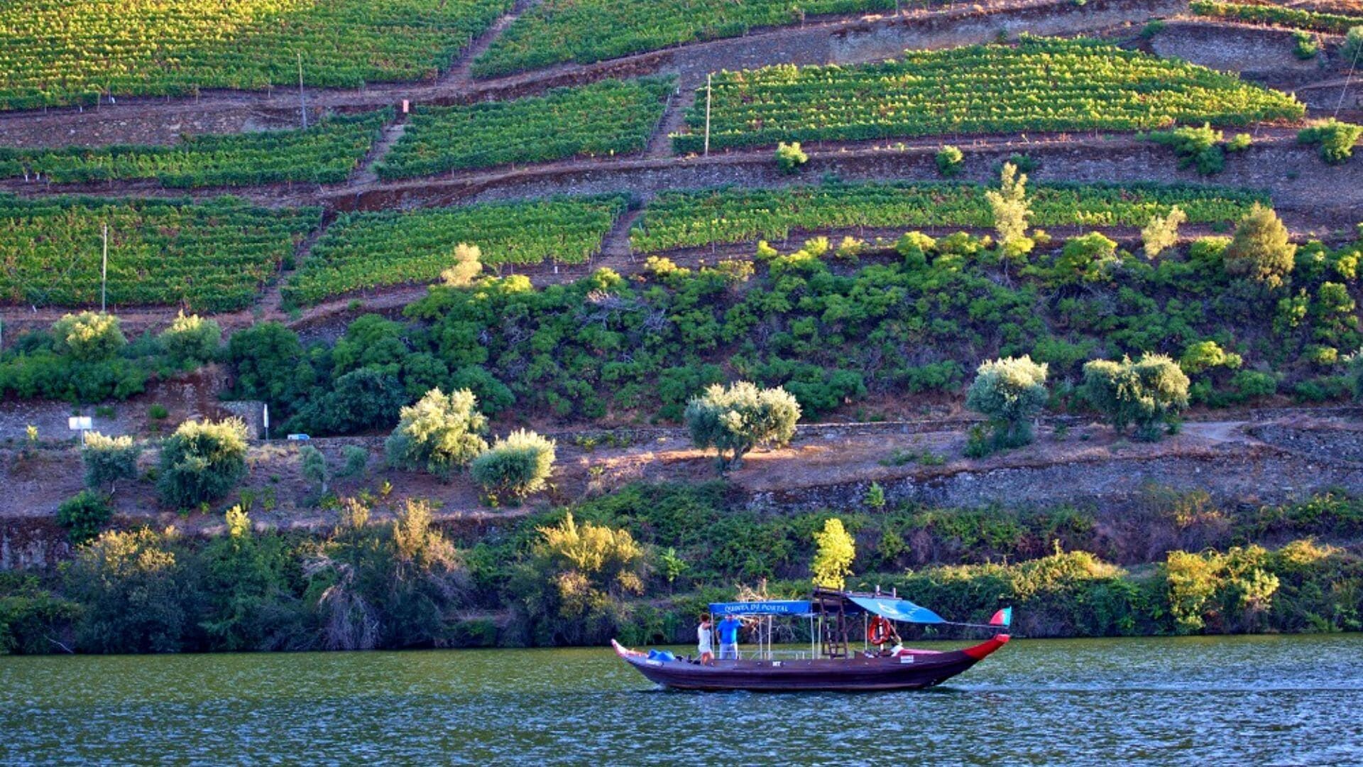 Rabelo-Boot auf dem Douro und Terrassenweinberge - Portugal