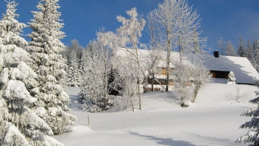 Landschaft im Schwarzwald im Winter - Deutschland