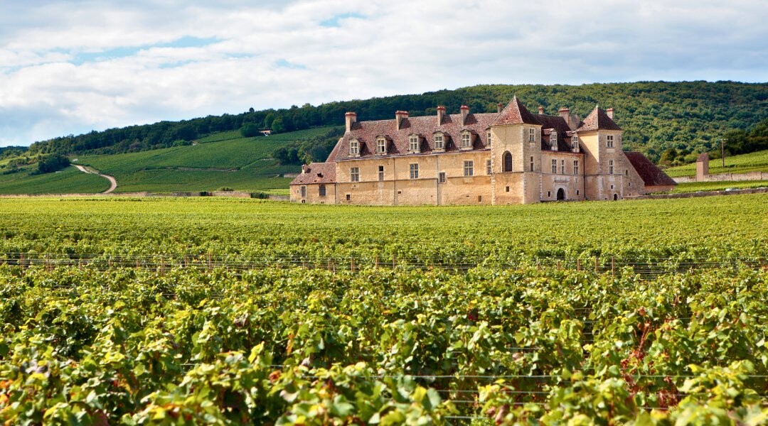 Burgund
