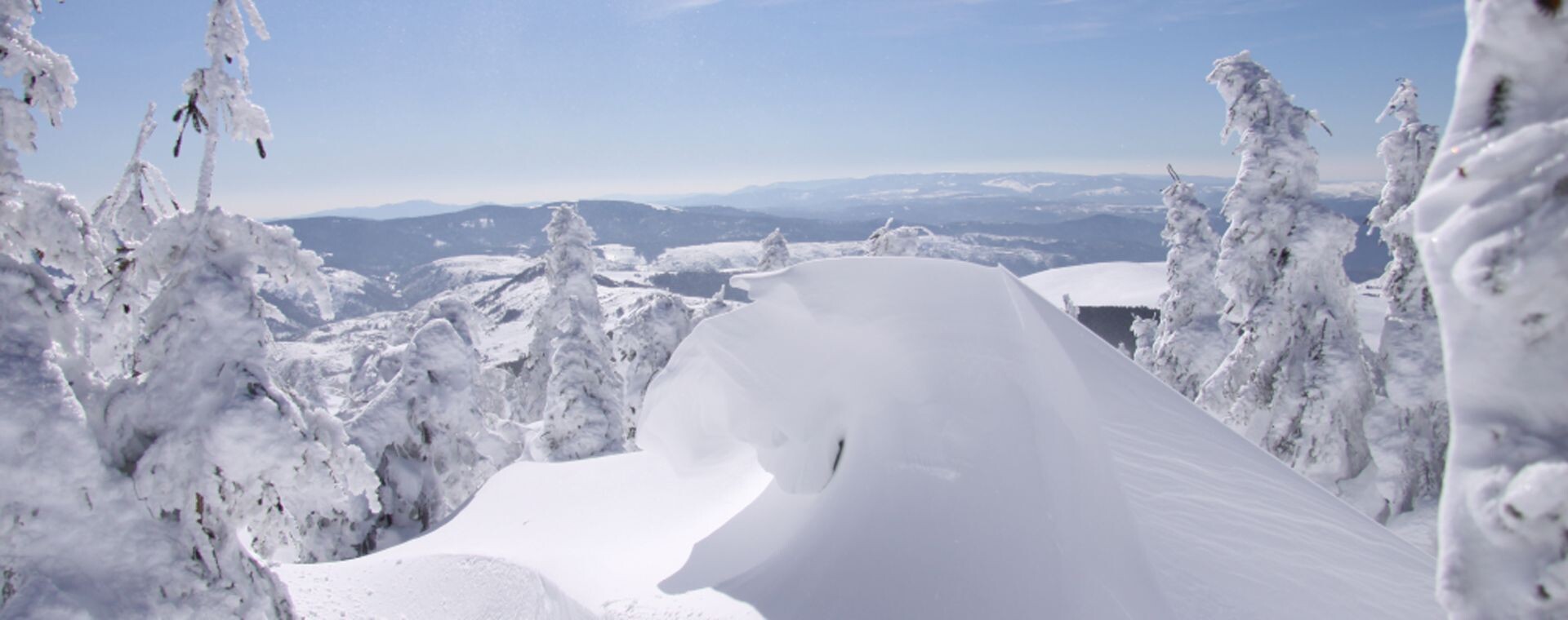 Raureifbedeckte Tannen und Schnee auf einem Grat - Cevennen im Winter - Frankreich