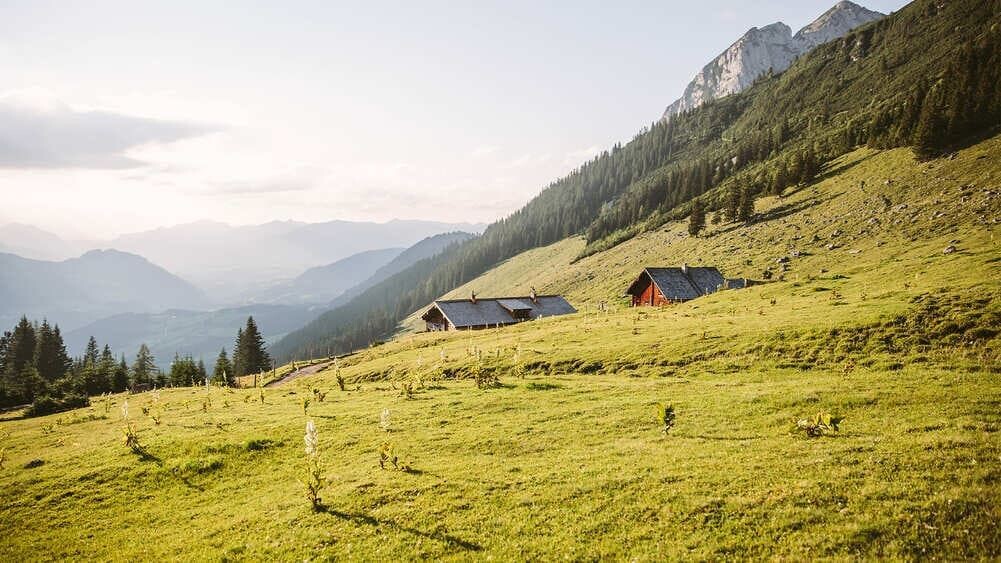Almhütten im Dachsteinmassiv - Alpen - Österreich