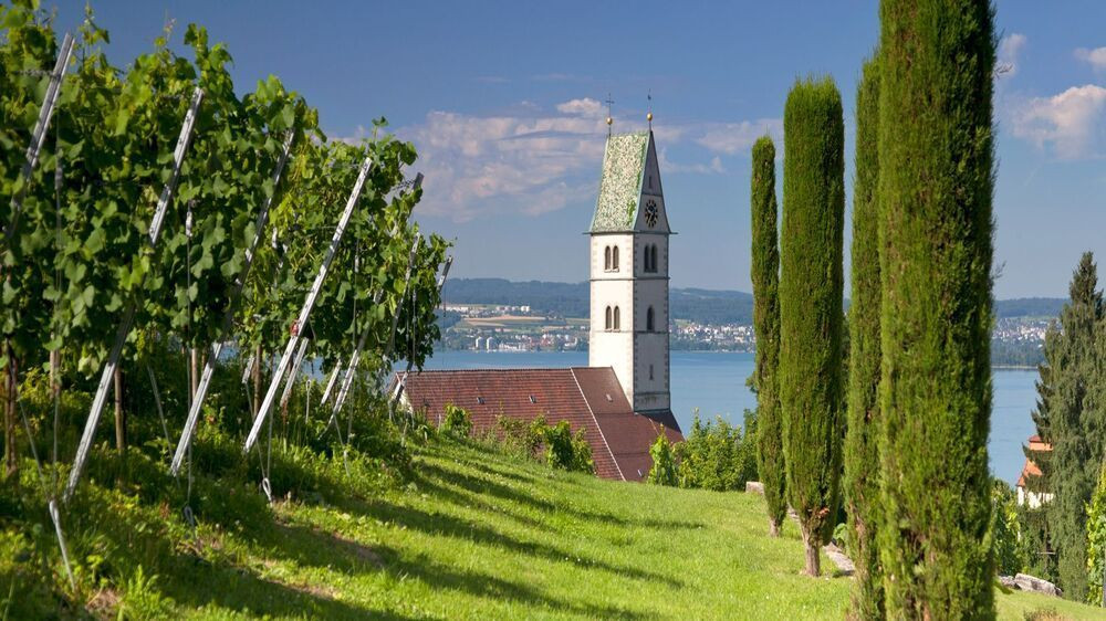 Kirche und Weinberge von Meersburg - Bodensee - Deutschland
