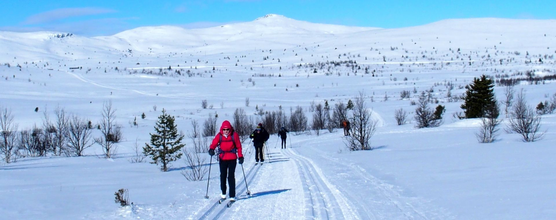 Klassische Langläufer auf der verschneiten Hochebene von Venabu - Norwegen