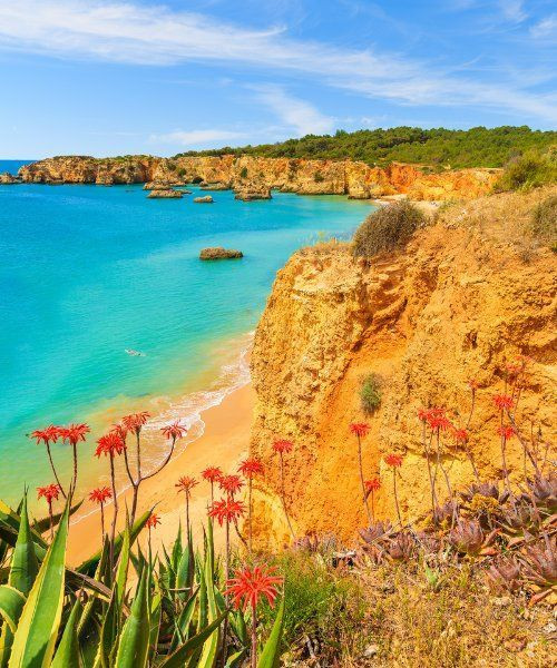 Klippen und Strand Praia da Rocha - Algarve - Portugal
