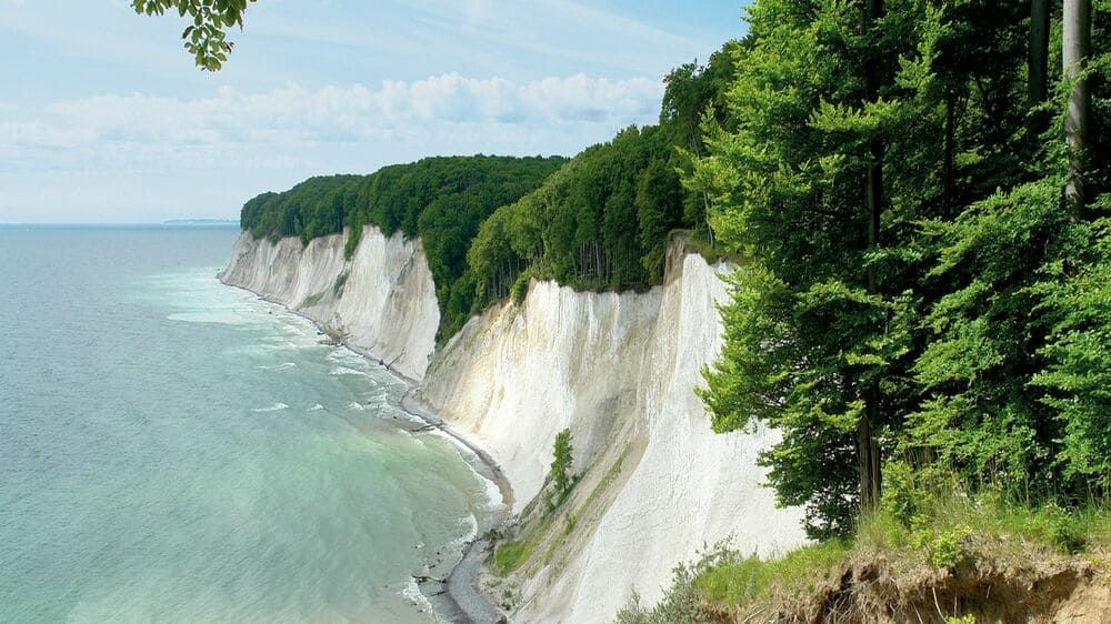 Kreidefelsen im Nationalpark Jasmund - Insel Rügen - Deutschland