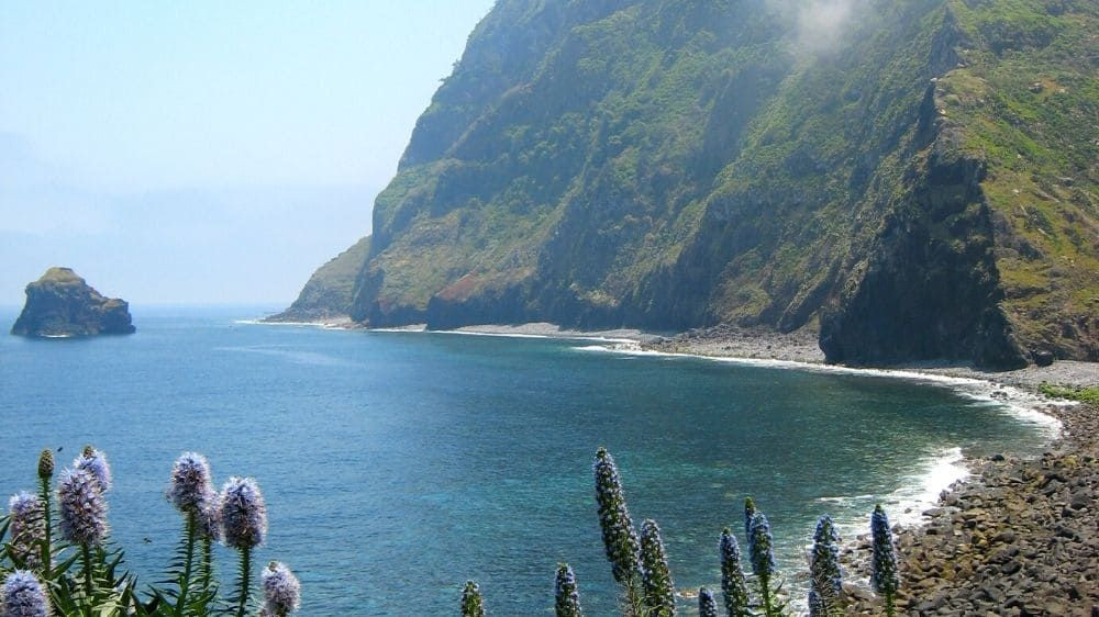 Vulkanische Küste und blühende Natternköpfe - Madeira - Portugal