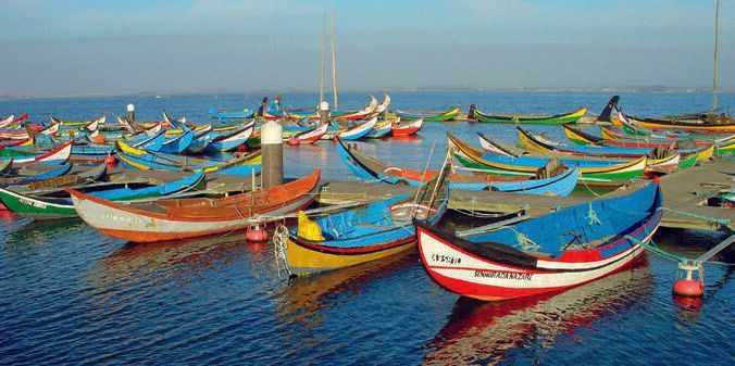 Bunte traditionelle Moliceiro-Boote - Ria de Aveiro - Portugal