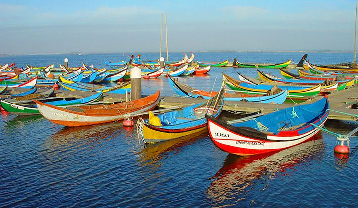 Bunte Fischerboote - Atlantikküste - Portugal