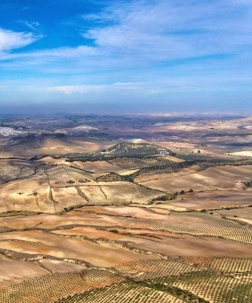 © David Praire Landschaft um Arcos de la Frontera - Andalusien - Spanien