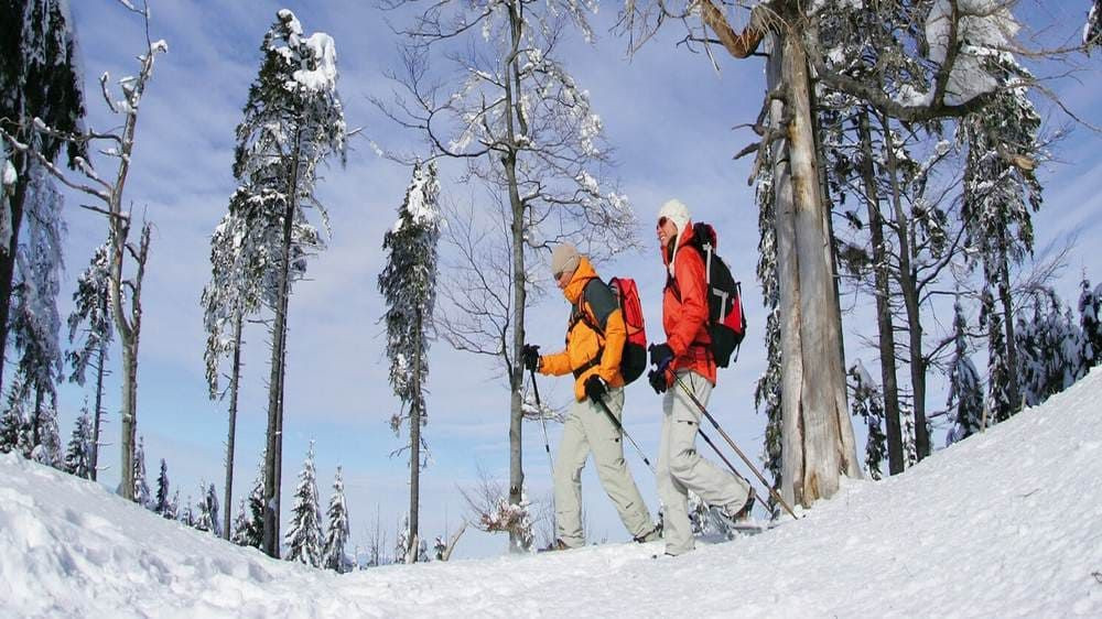 Schneeschuhwanderndes Paar - Schwarzwald - Deutschland