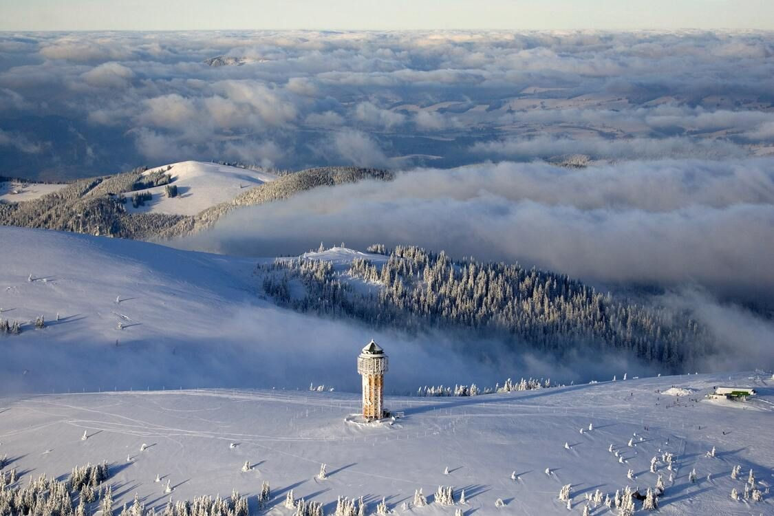 Schwarzwald