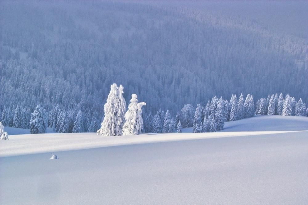 Schwarzwaldkamm am Schauinsland © Raymond Chabanier