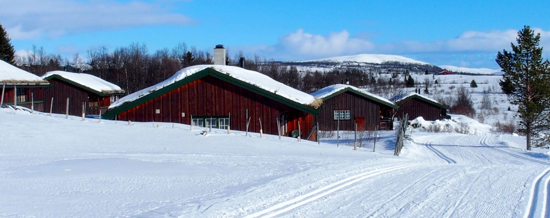 Langlaufloipe in Venabu - Norwegen