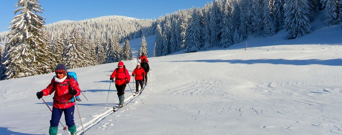 Nordische Skifahrer im verschneiten Wald - Jura - Frankreich