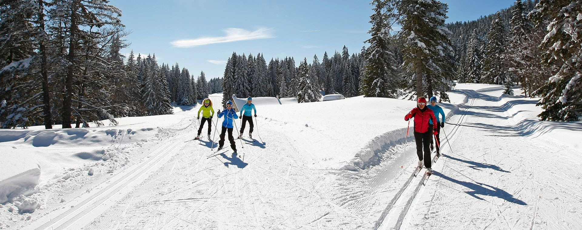 Langläufer auf verschneiten Waldloipen - Autrans-Méaudre - Vercors