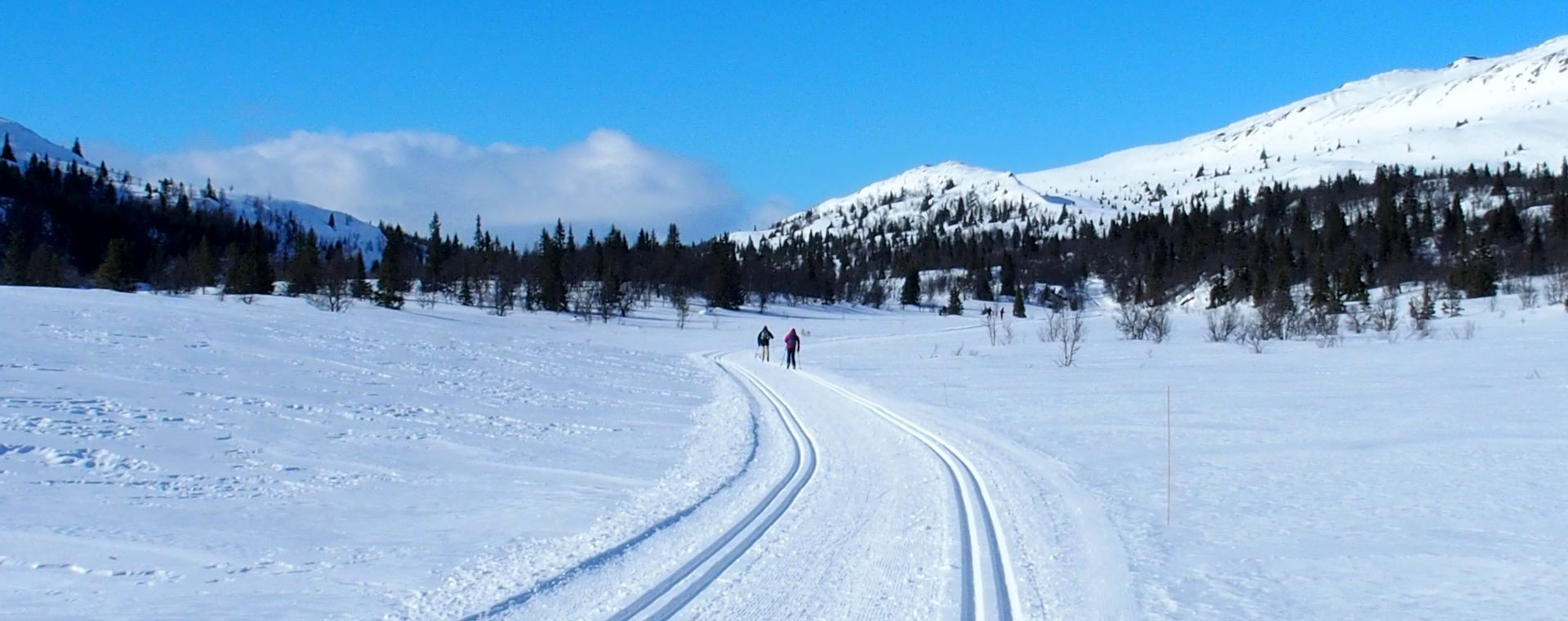 Langlauf in Venabu - Norwegen