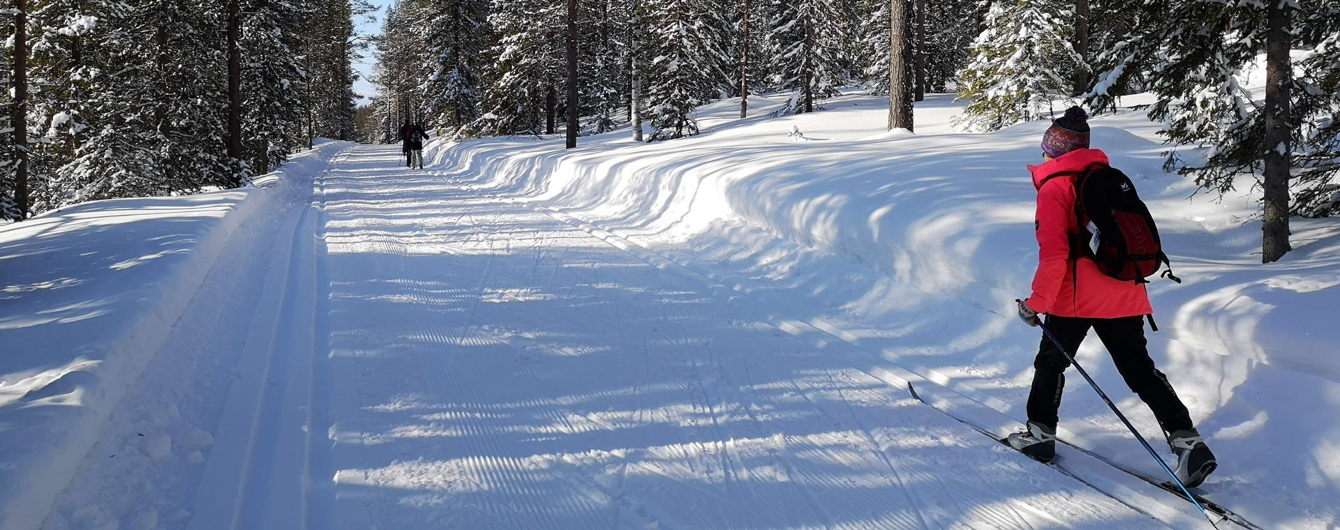 Ski de fond à Levi - Laponie - Finlande