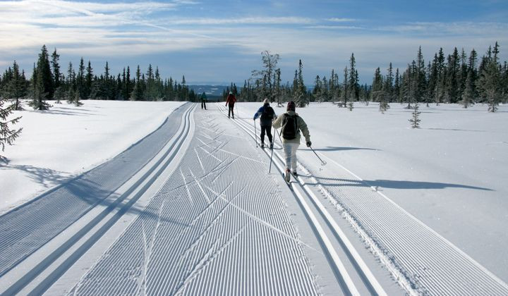 Langlauf in Sjusjøen - Norwegen