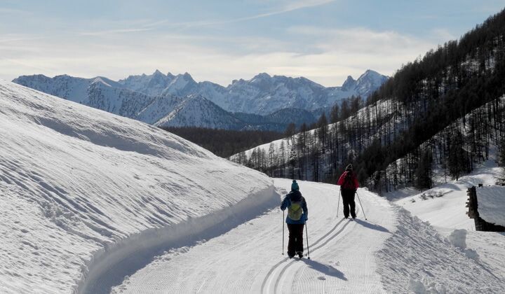Langlauf auf einer Waldloipe - Queyras - Südalpen - Frankreich