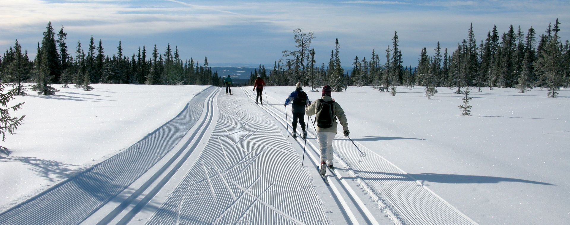 Langlauf auf der präparierten Loipe des bewaldeten Plateaus - Sjusjøen - Norwegen
