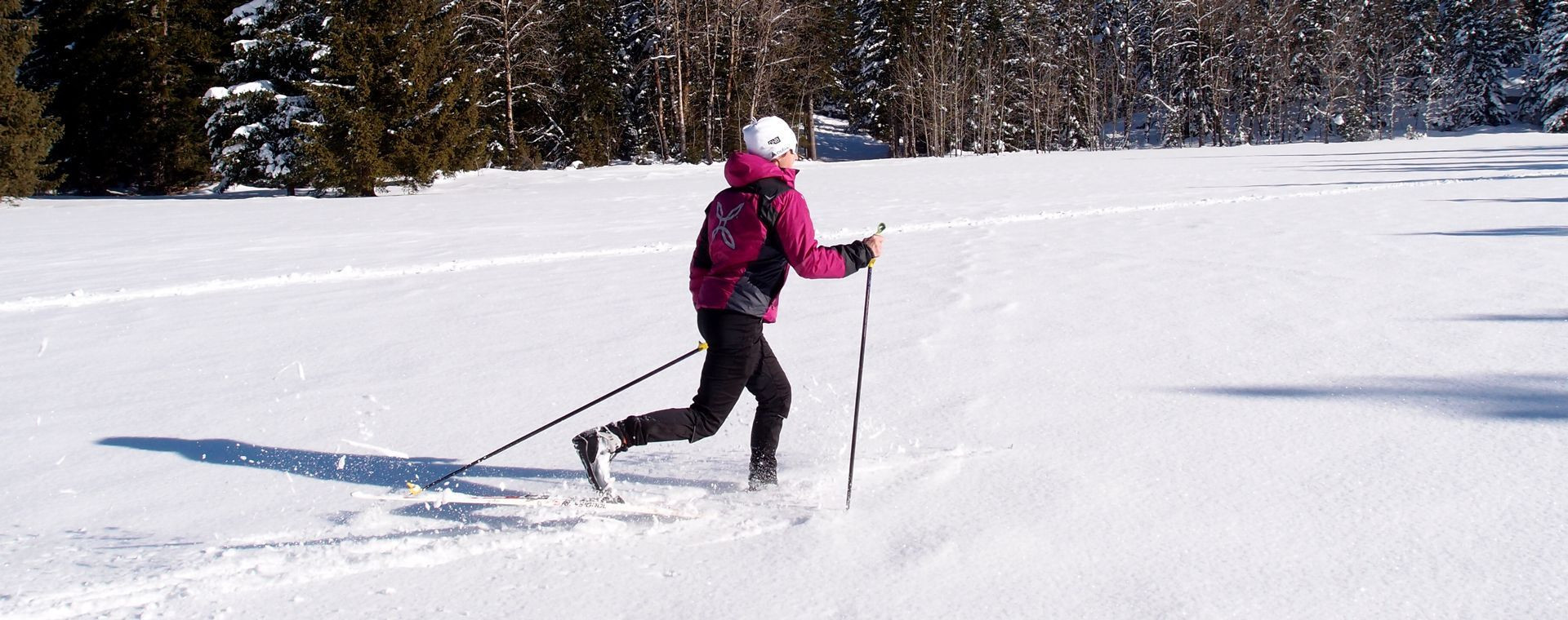 Langlauf auf der Ebene von Autrans-Méaudre - Vercors - Frankreich