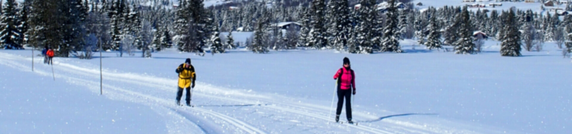 Ski de fond sur le Golsfjellet - Norvège