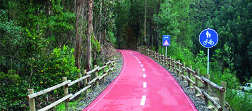 Radweg durch Pinienwälder - Portugal