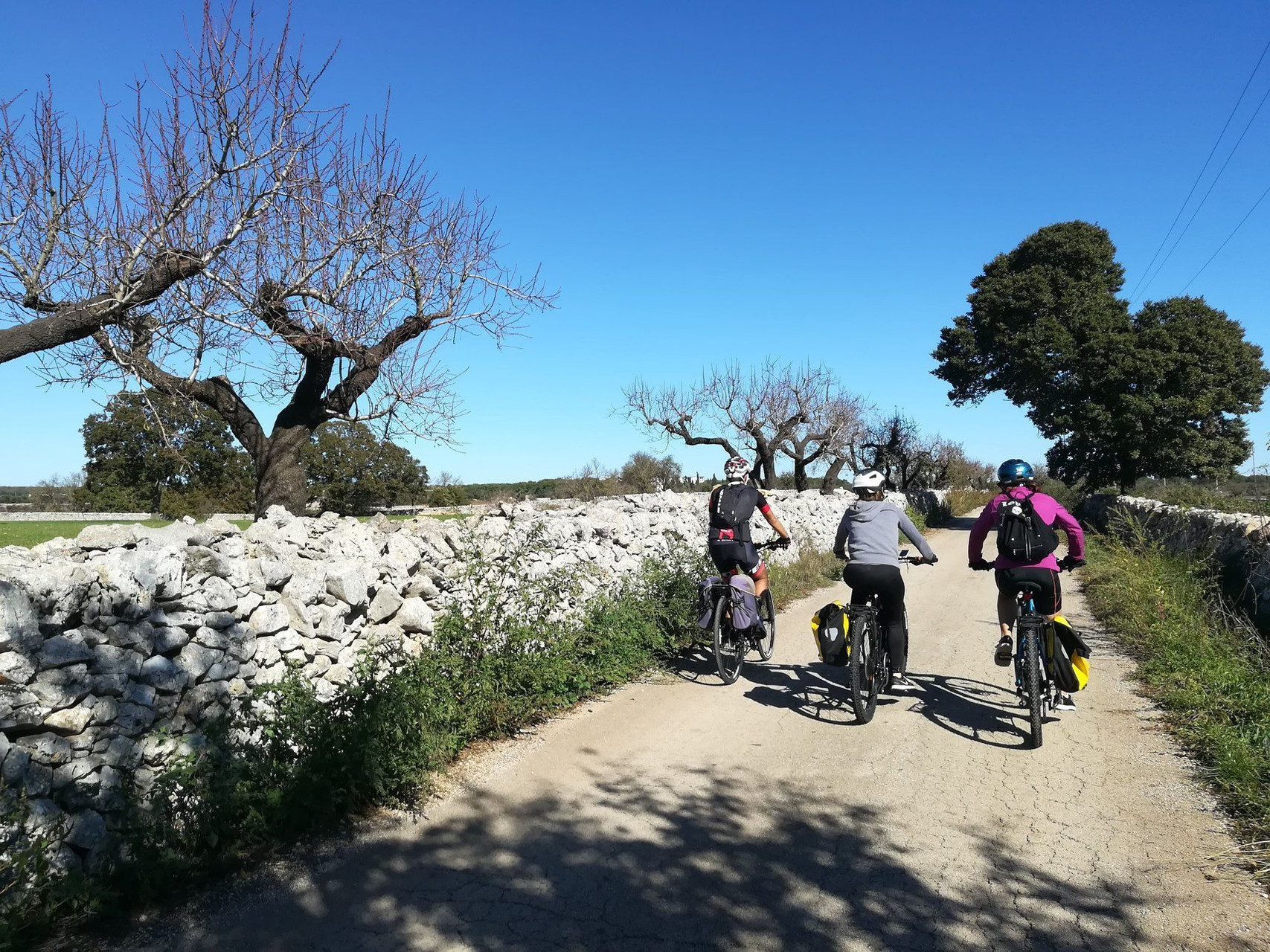 Radfahren zwischen Matera und Alberobello - Apulien - Italien