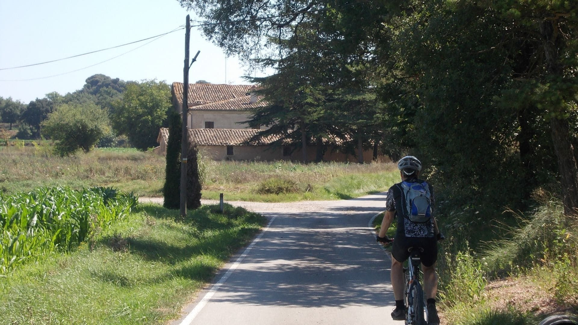 Radfahrer auf einer Landstraße - Katalonien - Spanien