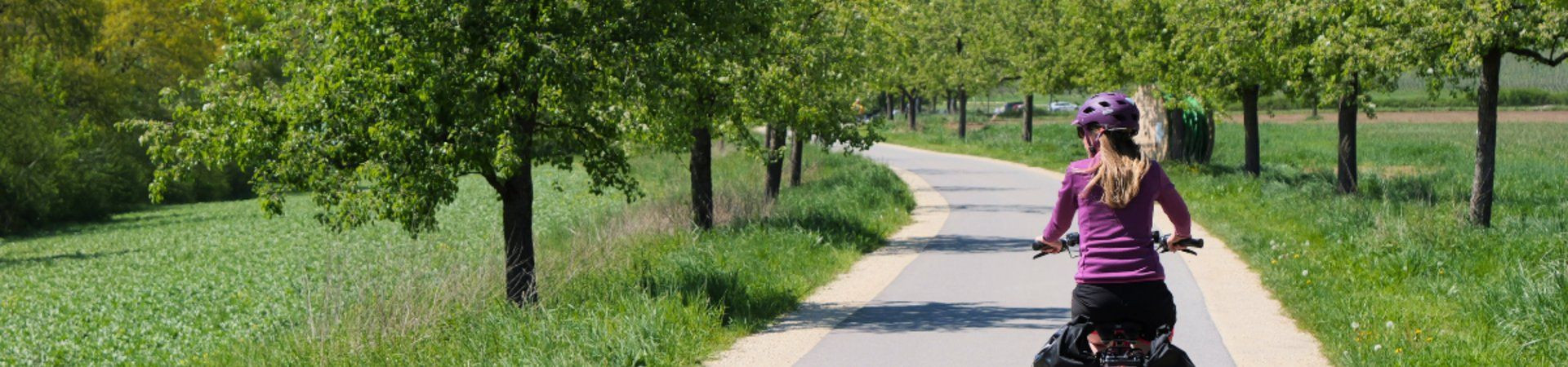 Radfahrer mit Packtaschen auf einem von Bäumen gesäumten Radweg - Landschaft
