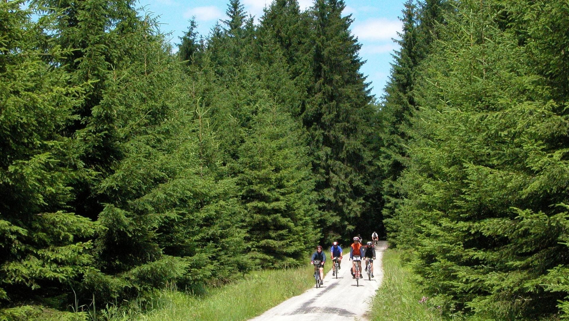 Radfahrer in Regensburg - Tschechien