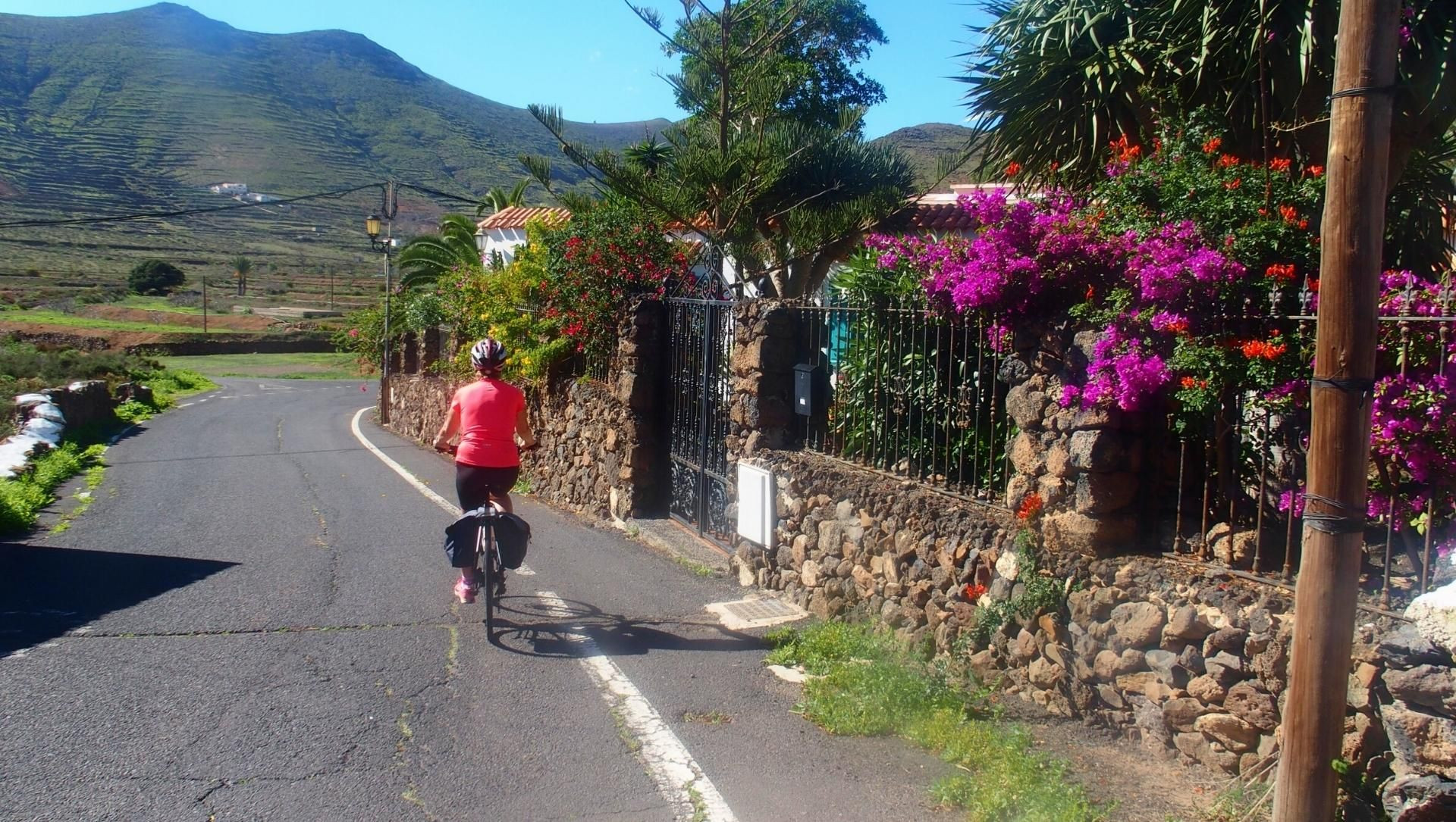 © Jean-Claude Praire Radfahrer auf einer blühenden Straße - Lanzarote - Kanaren - Spanien
