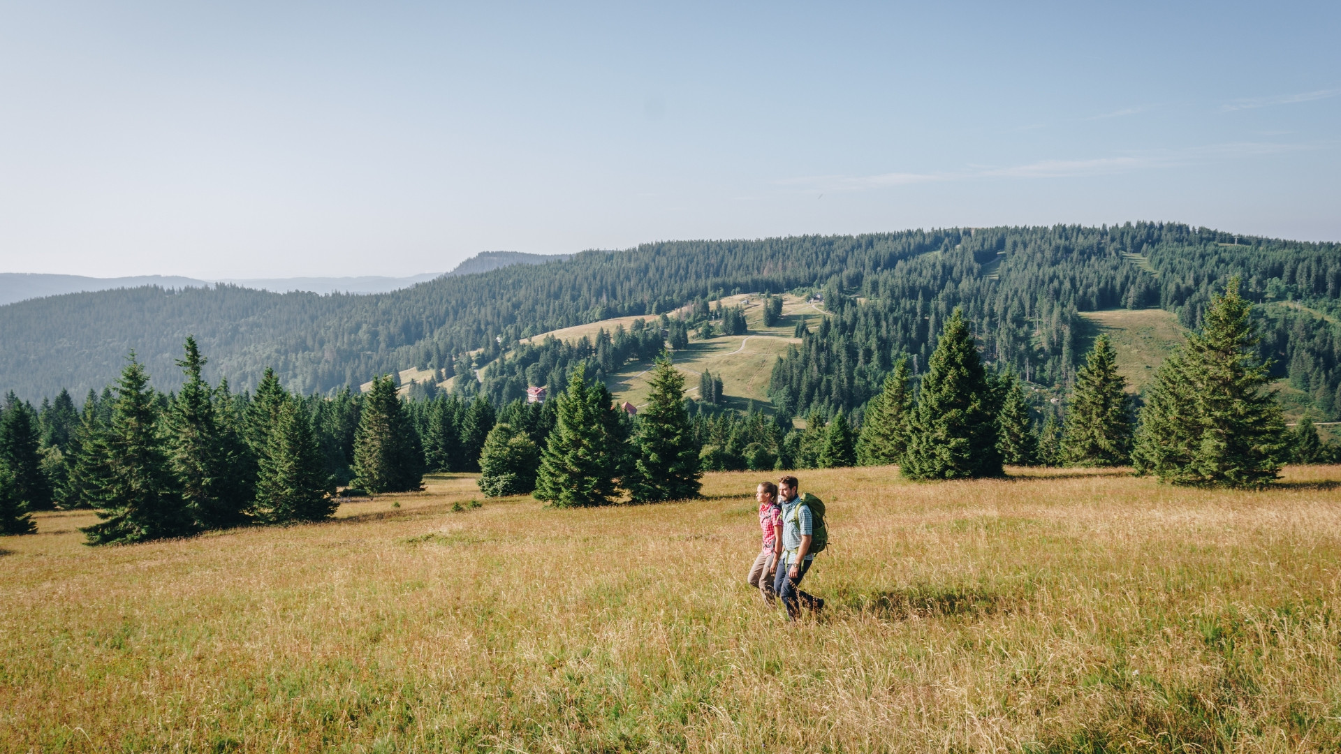 Deutschland Feldberg