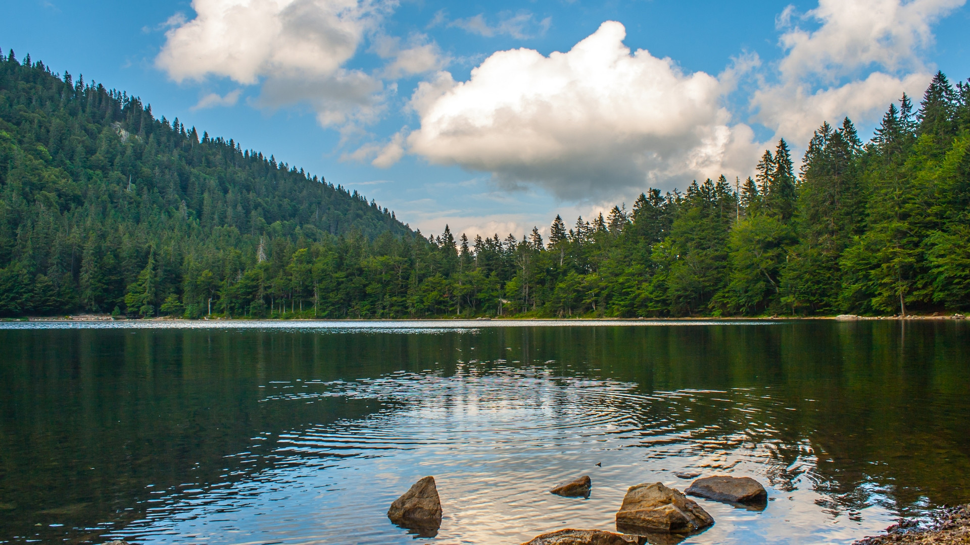 Deutschland Feldsee