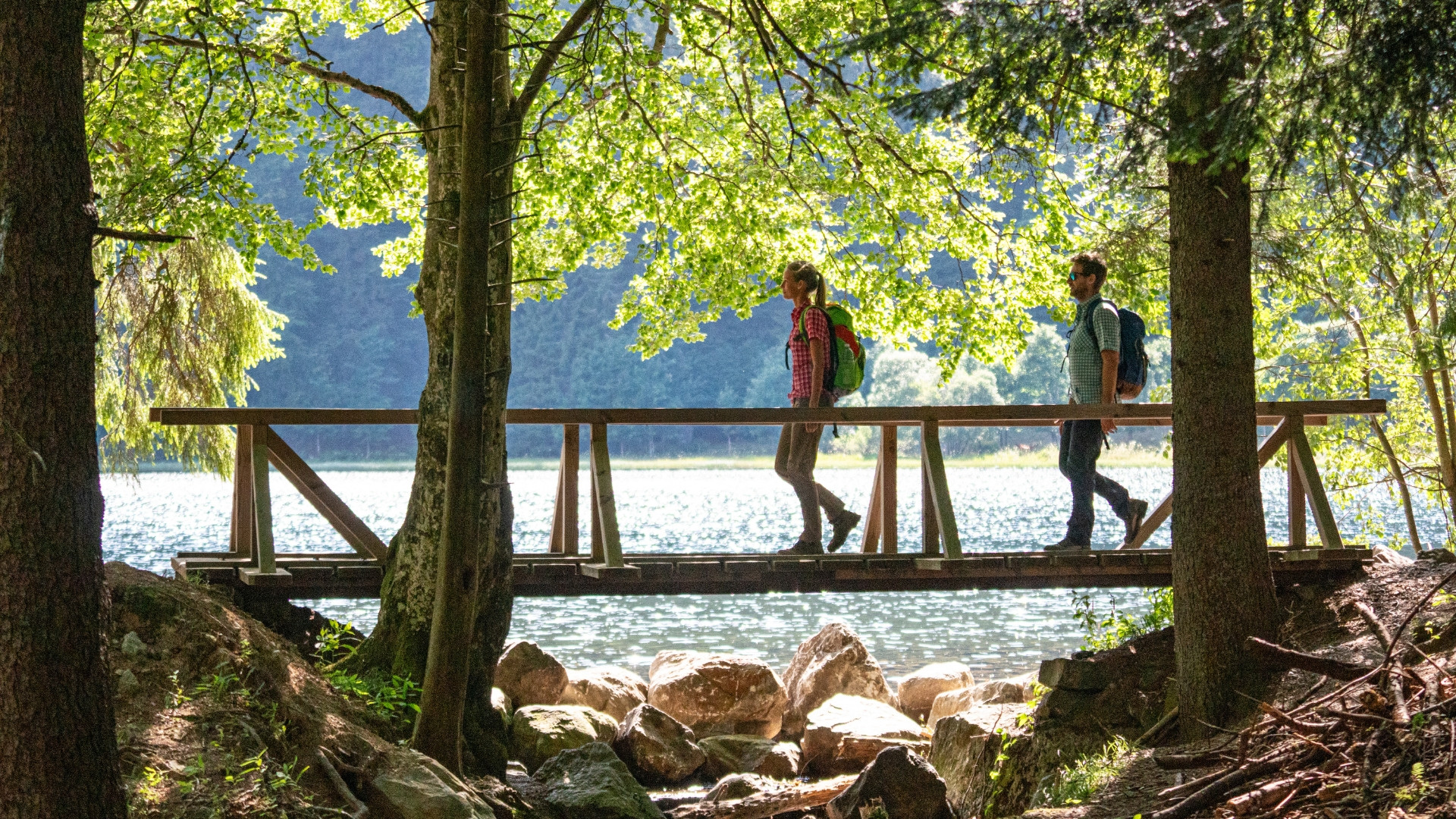 Deutschland Feldsee