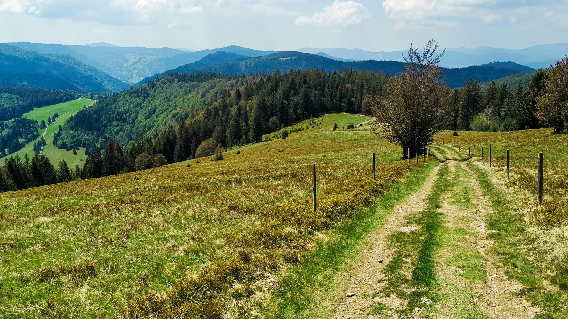 Deutschland Herzogenhorn 2