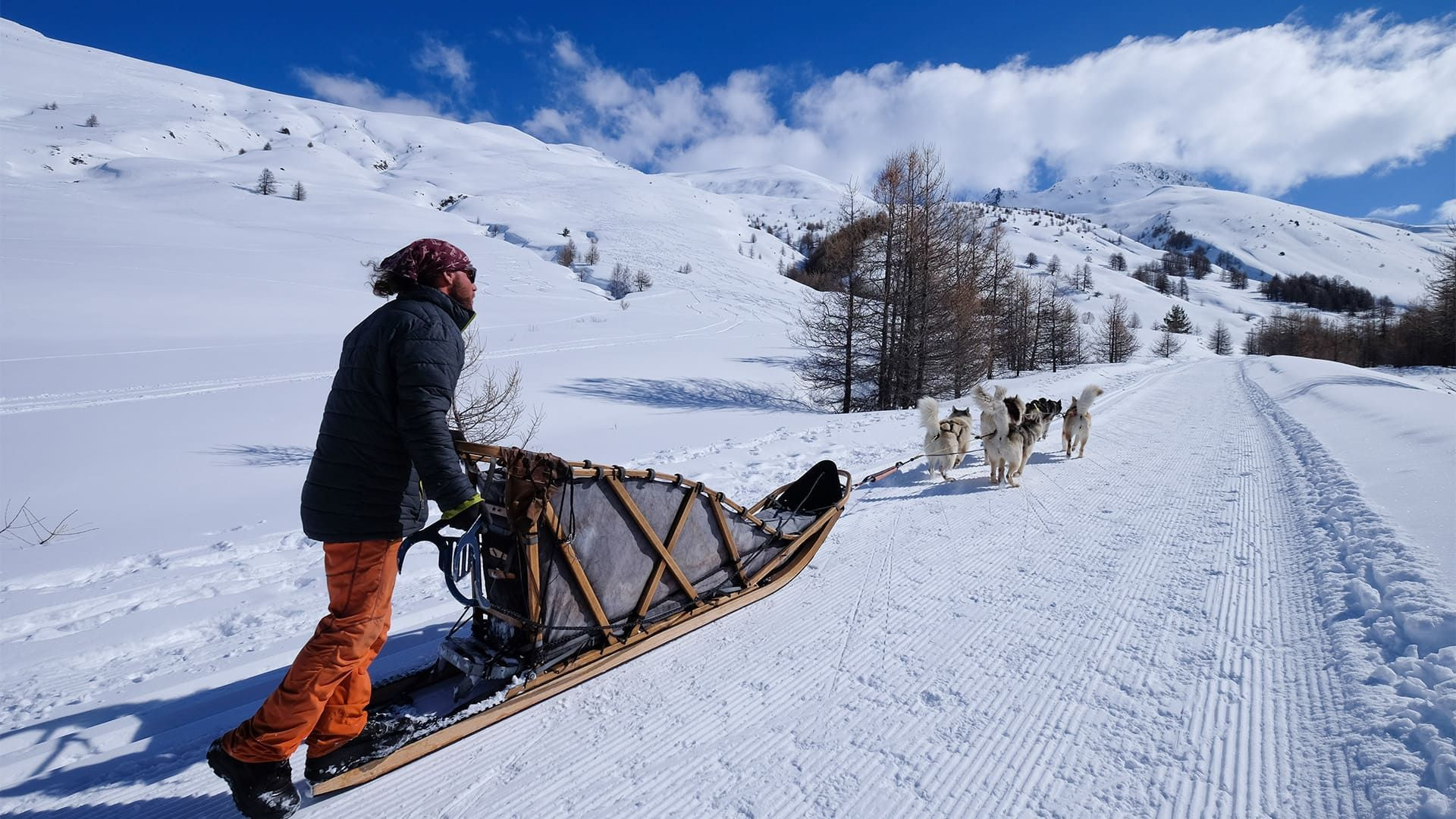 Hundeschlitten auf verschneiten Wegen - Queyras - Alpen - Frankreich