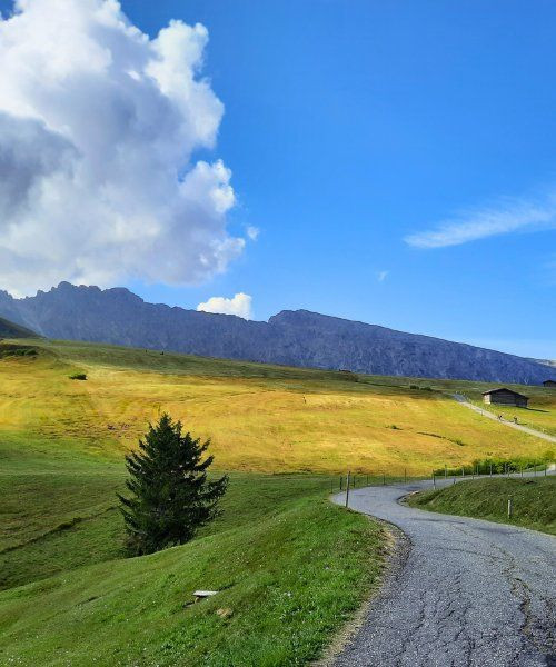 Almen der Dolomiten - Italien