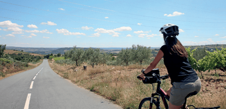 Das weitläufige internationale Naturschutzgebiet Douro