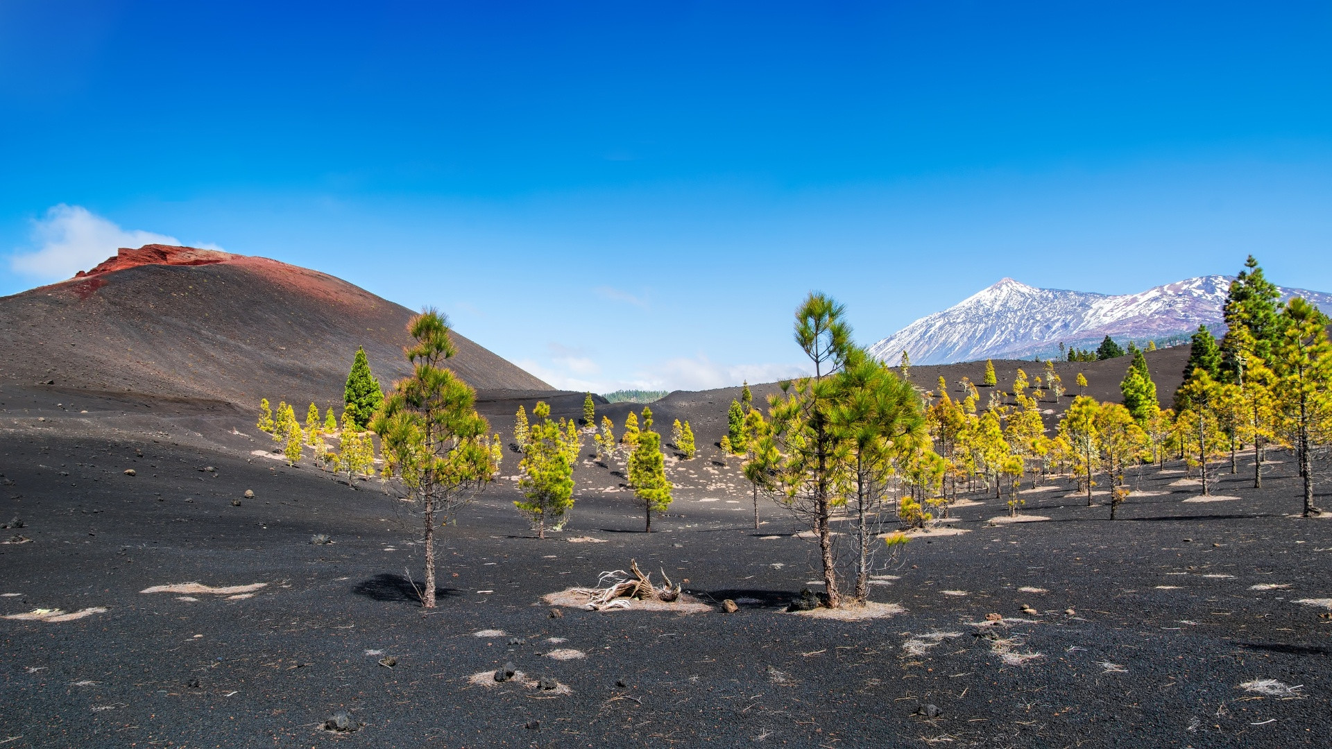 Spanien - Kanarische Inseln - Teneriffa - Arenas Negras