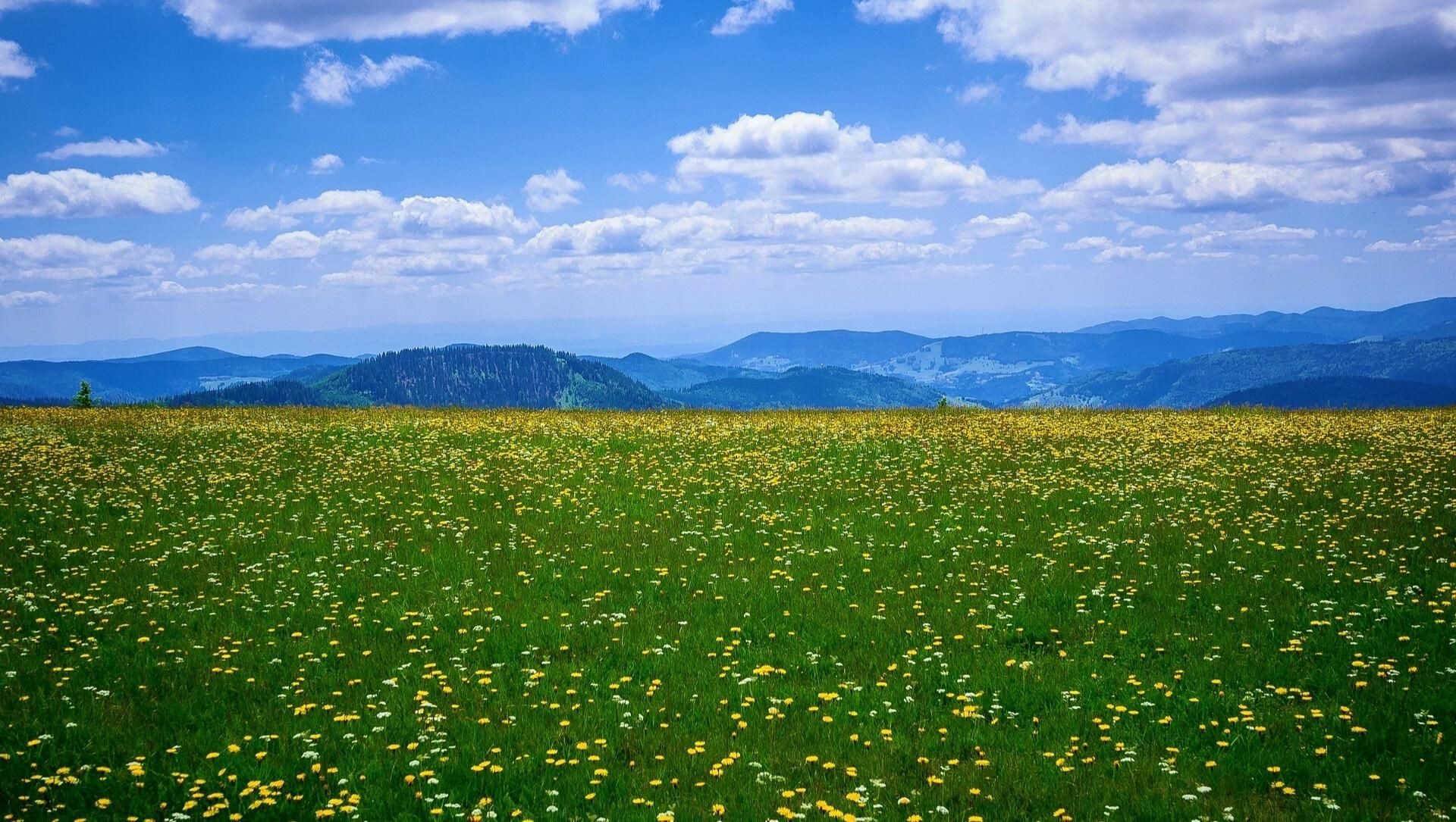 Feldberg - Deutschland